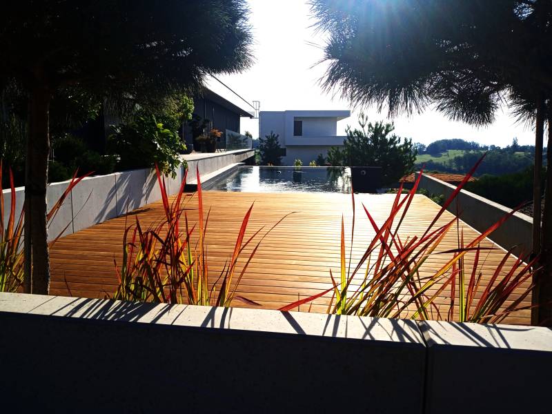 Les Mauvaises Herbes : créateurs d’univers végétaux sur mesure en Alsace