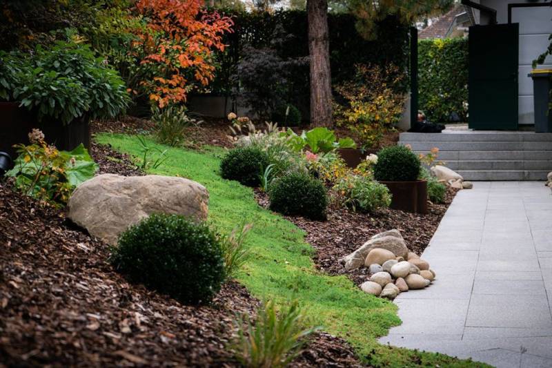 Les Mauvaises Herbes : créateurs d’univers végétaux sur mesure en Alsace