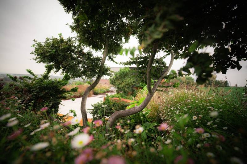 Les Mauvaises Herbes : créateurs d’univers végétaux sur mesure en Alsace