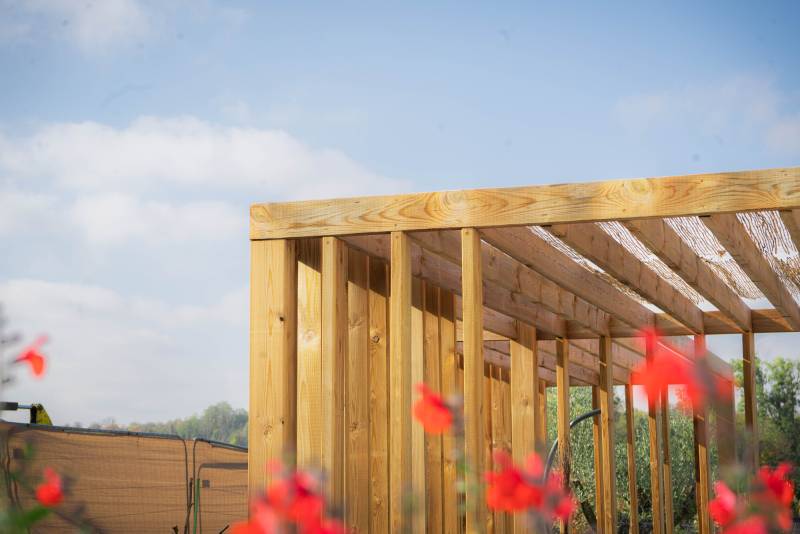 Les Mauvaises Herbes : créateurs d’univers végétaux sur mesure en Alsace