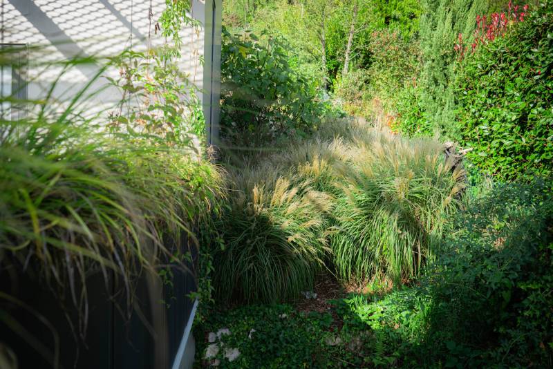 Spécialistes de la végétalisation : création de massifs de vivaces, plantation de grands arbres ou d'arbustes à Mulhouse dans le haut Rhin.