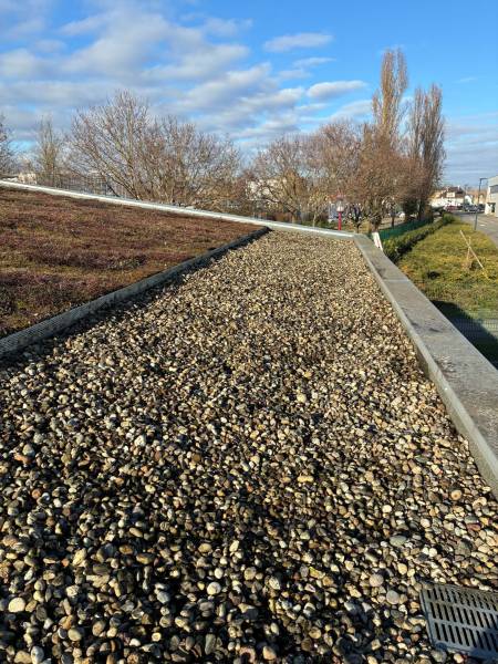 Toit végétalisé après entretien