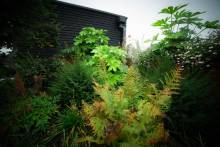 Nos prestations sur le secteur de à Colmar